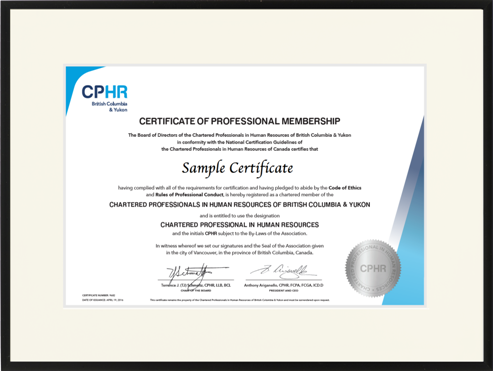 CPHR BC&YT Satin Black Metal frame with single palmbeach white mat board
